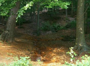 Gelbes Wasser / Stollenquelle